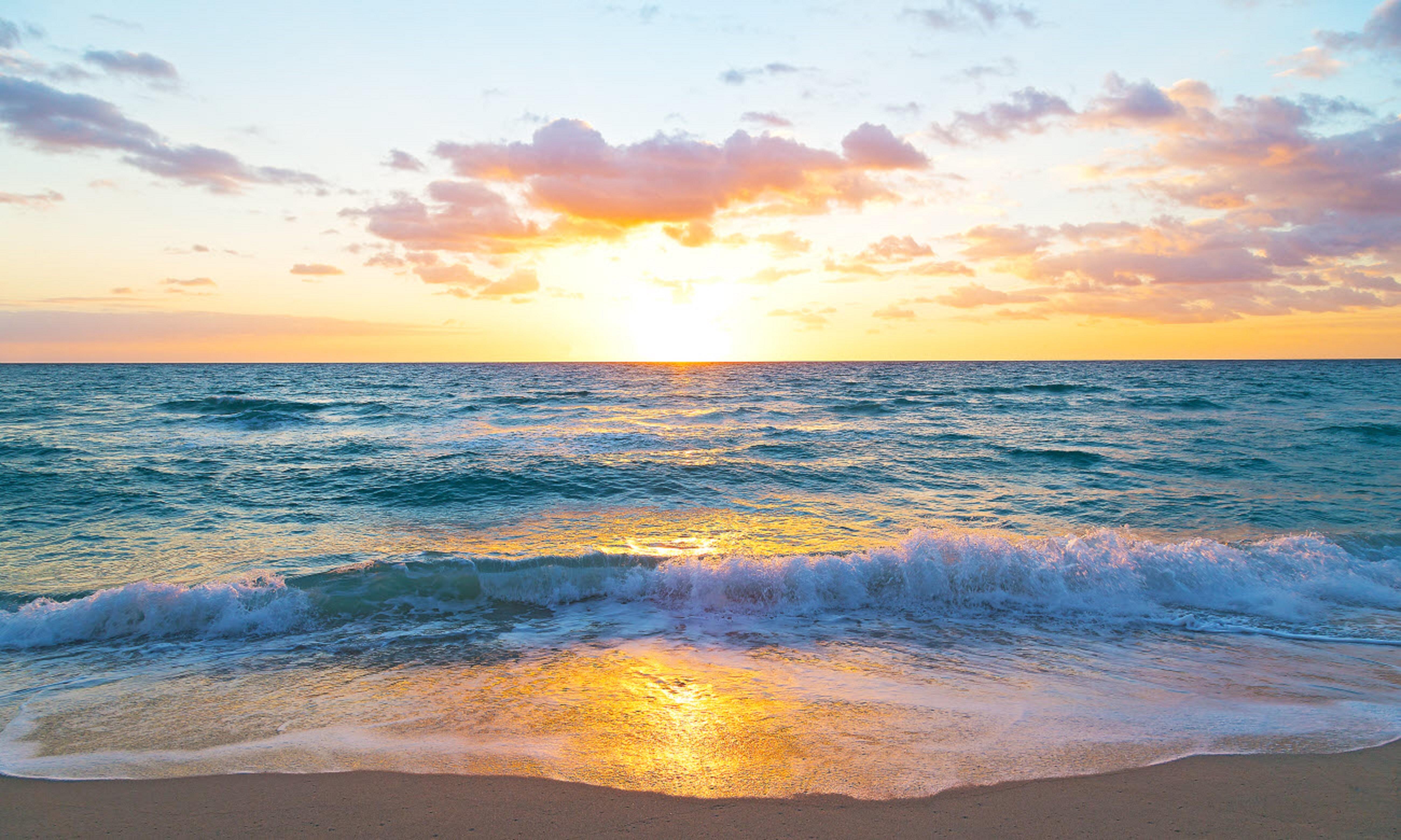 Tideline Palm Beach Ocean Resort And Spa Eksteriør bilde